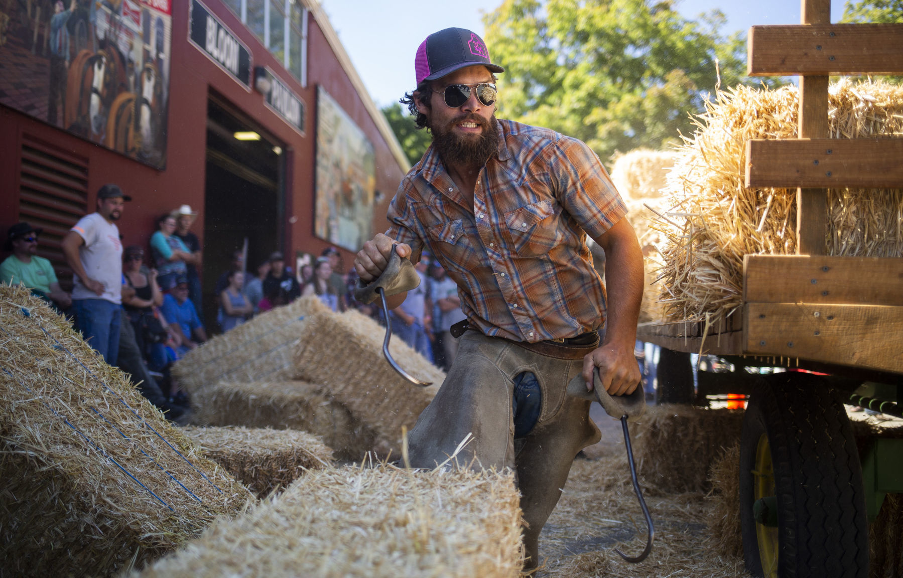 Hay bale bucking contest